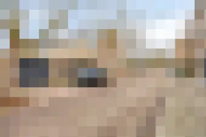 Lankforst 2901 Nijmegen thumbnail 45