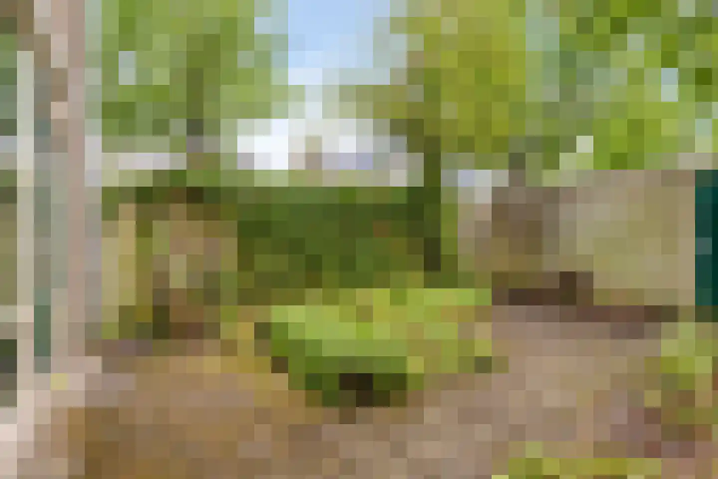 Lankforst 2913 Nijmegen thumbnail 32