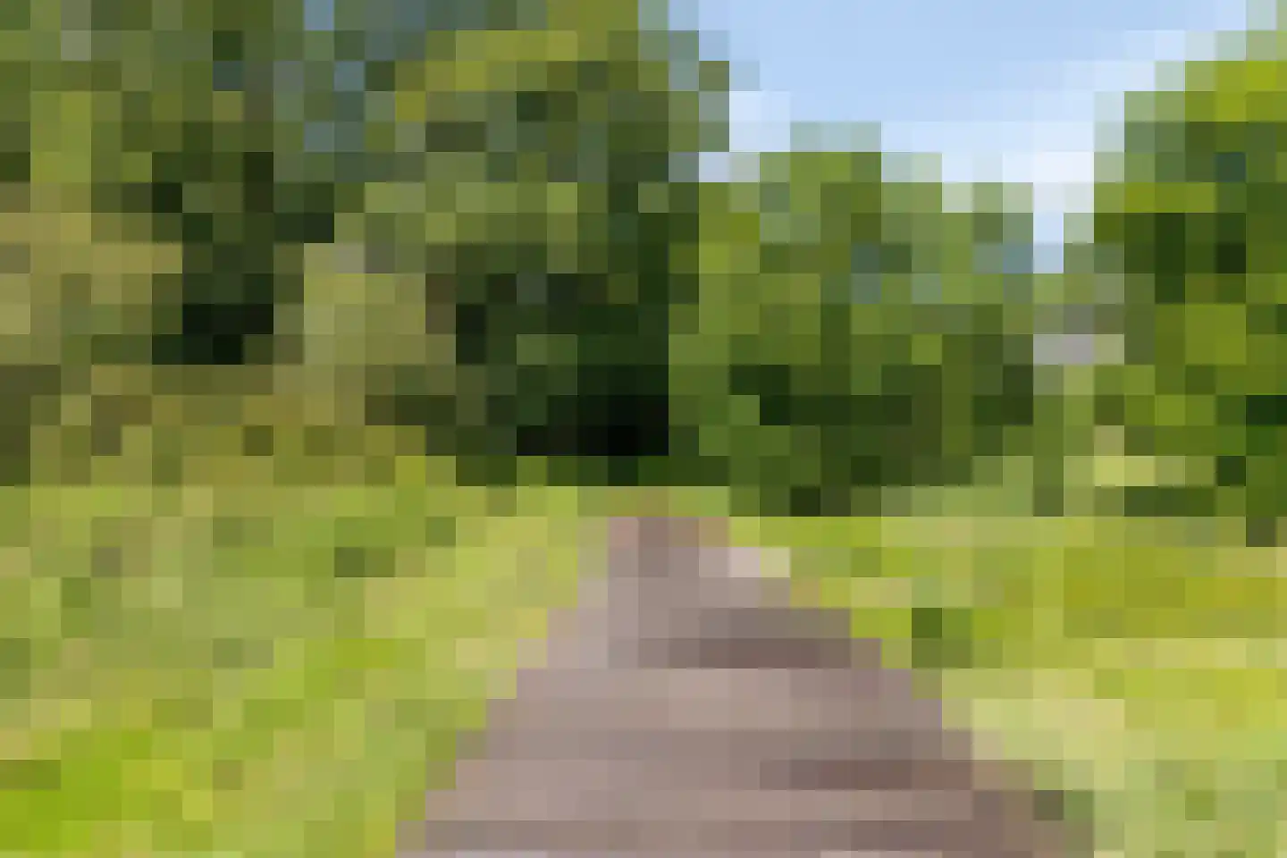 Lankforst 2913 Nijmegen thumbnail 45