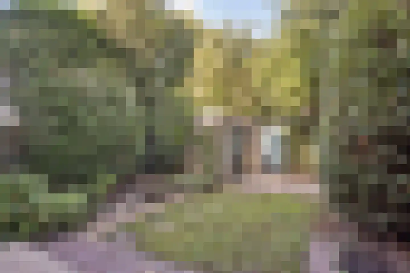 Lankforst 2922 Nijmegen thumbnail 27