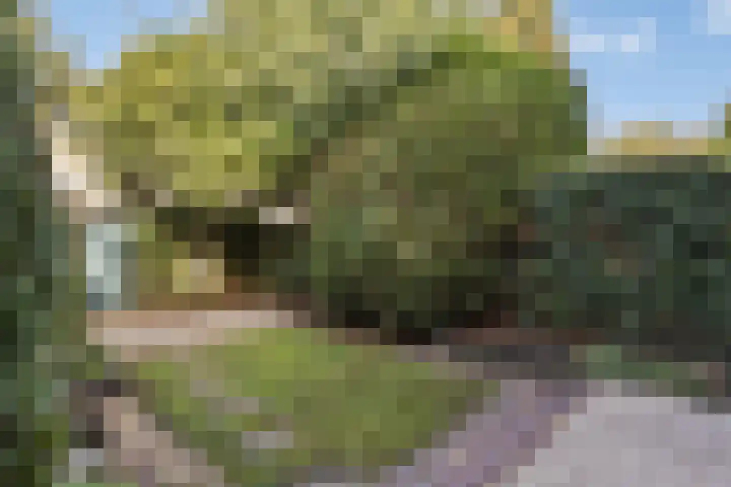 Lankforst 2922 Nijmegen thumbnail 28