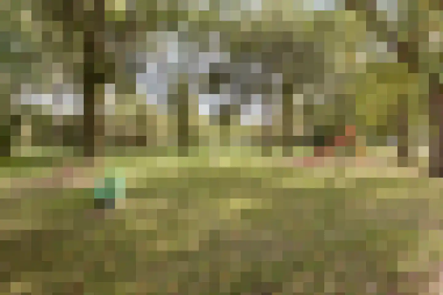 Lankforst 2922 Nijmegen thumbnail 35