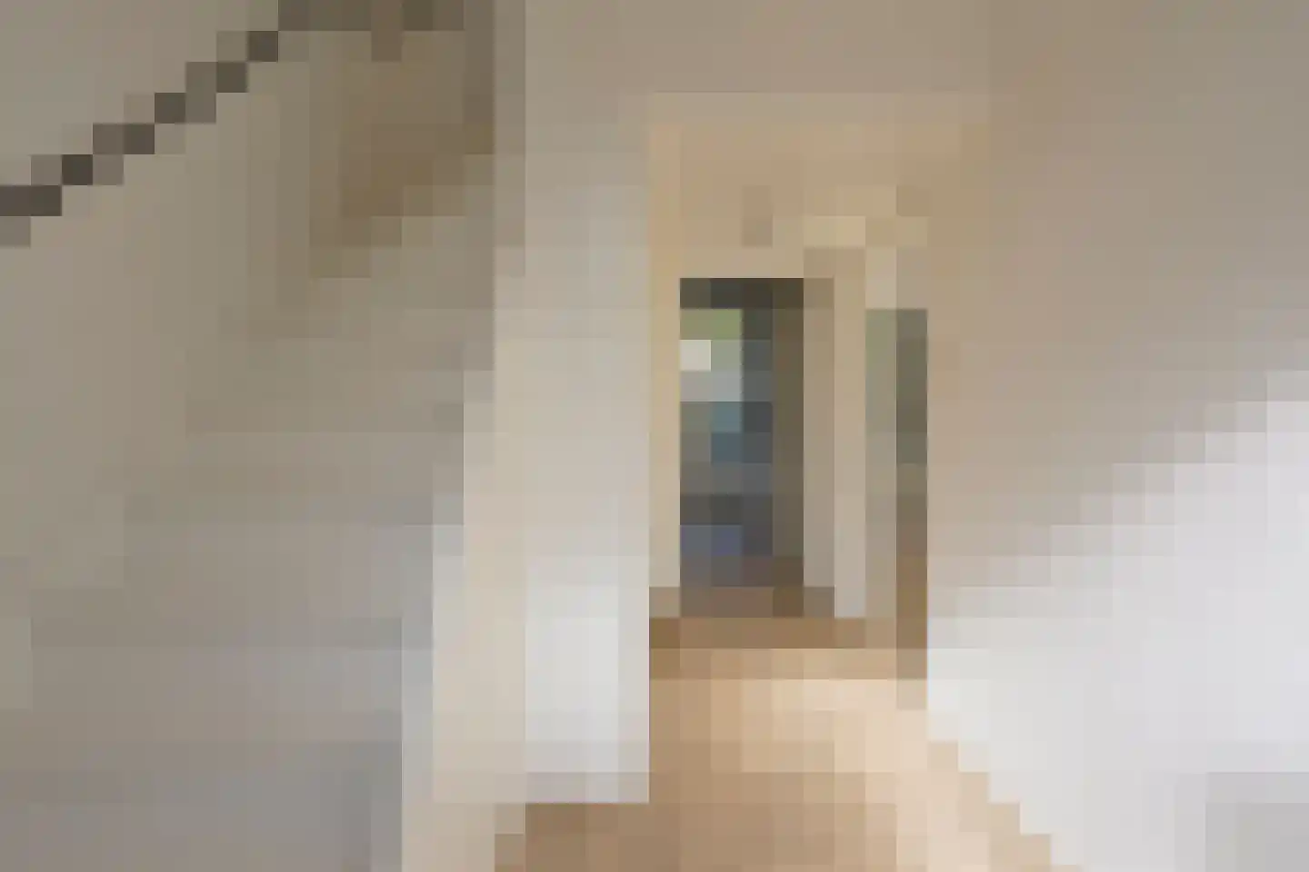 Lankforst 2922 Nijmegen thumbnail 7