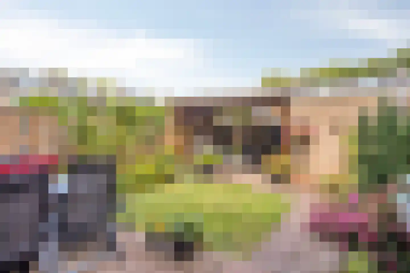 Lankforst 2925 Nijmegen thumbnail 28