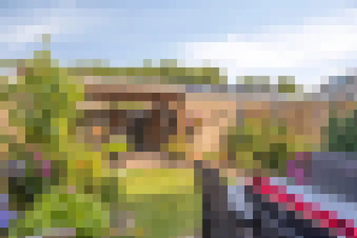 Lankforst 2925 Nijmegen thumbnail 29