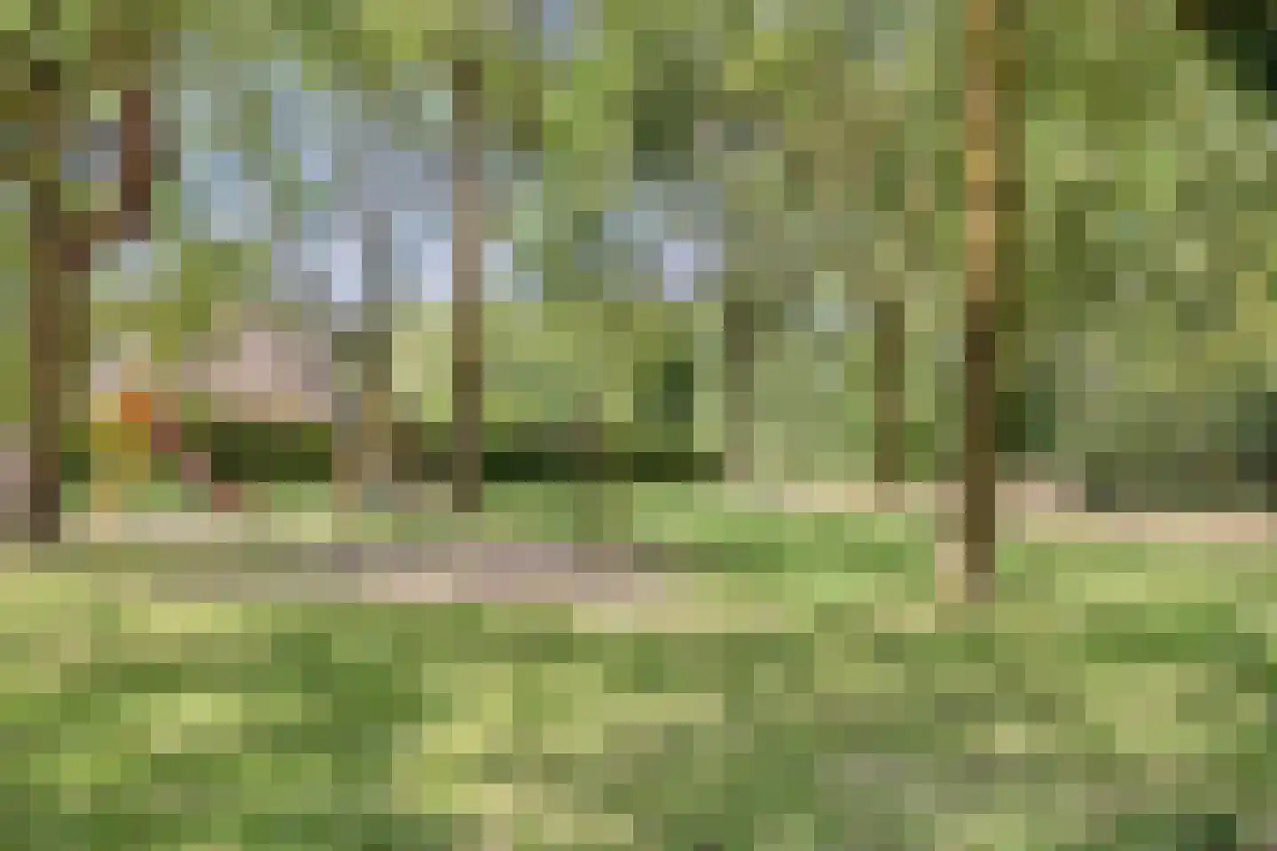 Lankforst 2925 Nijmegen thumbnail 36