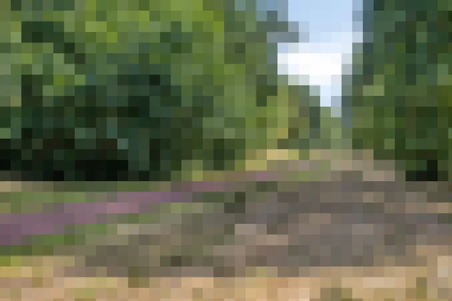 Lankforst 2925 Nijmegen thumbnail 37