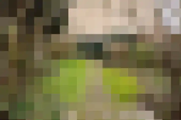 Lankforst 3001 Nijmegen thumbnail 31