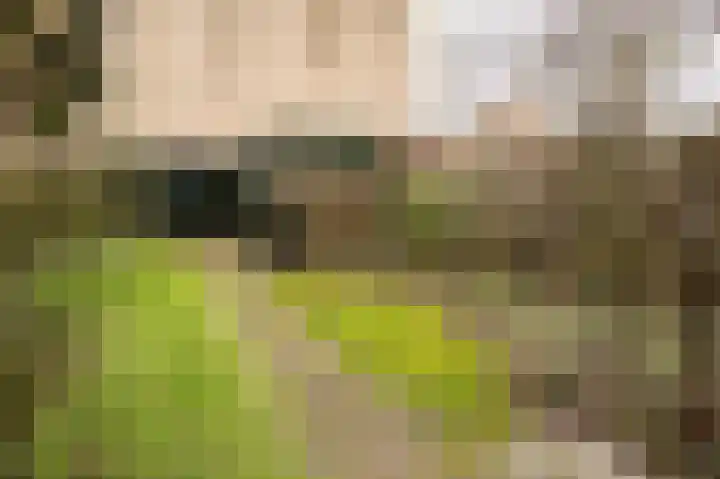 Lankforst 3001 Nijmegen thumbnail 32
