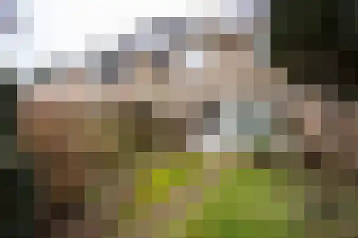 Lankforst 3001 Nijmegen thumbnail 33
