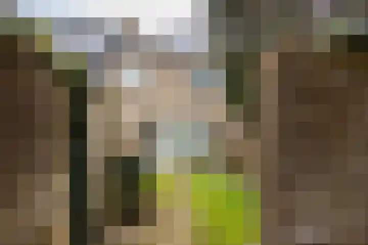 Lankforst 3001 Nijmegen thumbnail 34