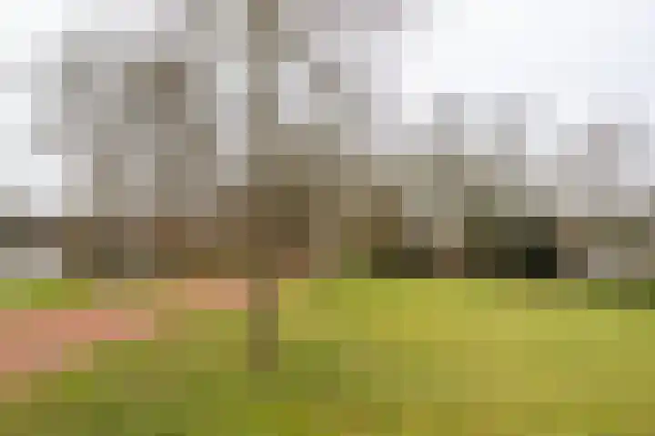 Lankforst 3001 Nijmegen thumbnail 35