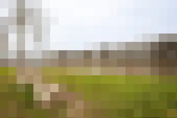 Lankforst 3001 Nijmegen thumbnail 36