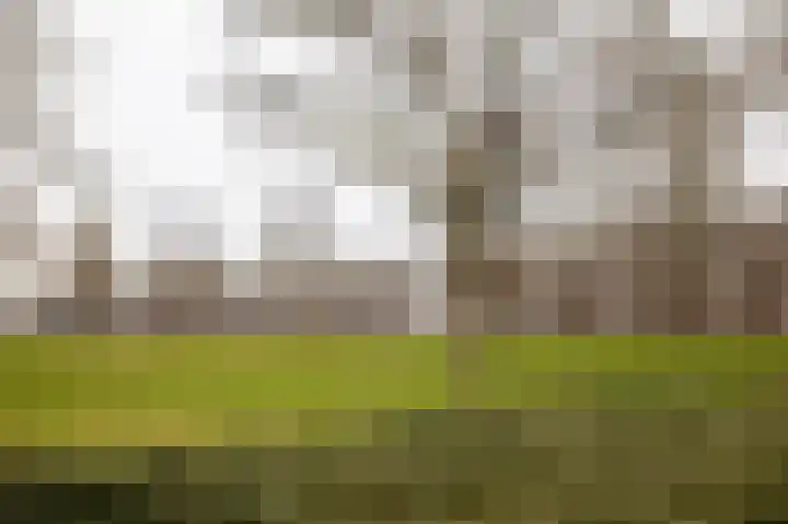Lankforst 3001 Nijmegen thumbnail 37