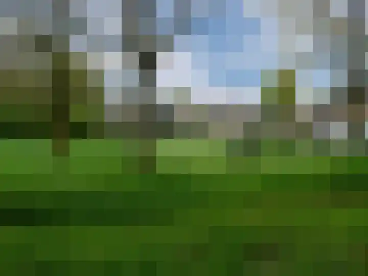 Lankforst 3019 Nijmegen thumbnail 25