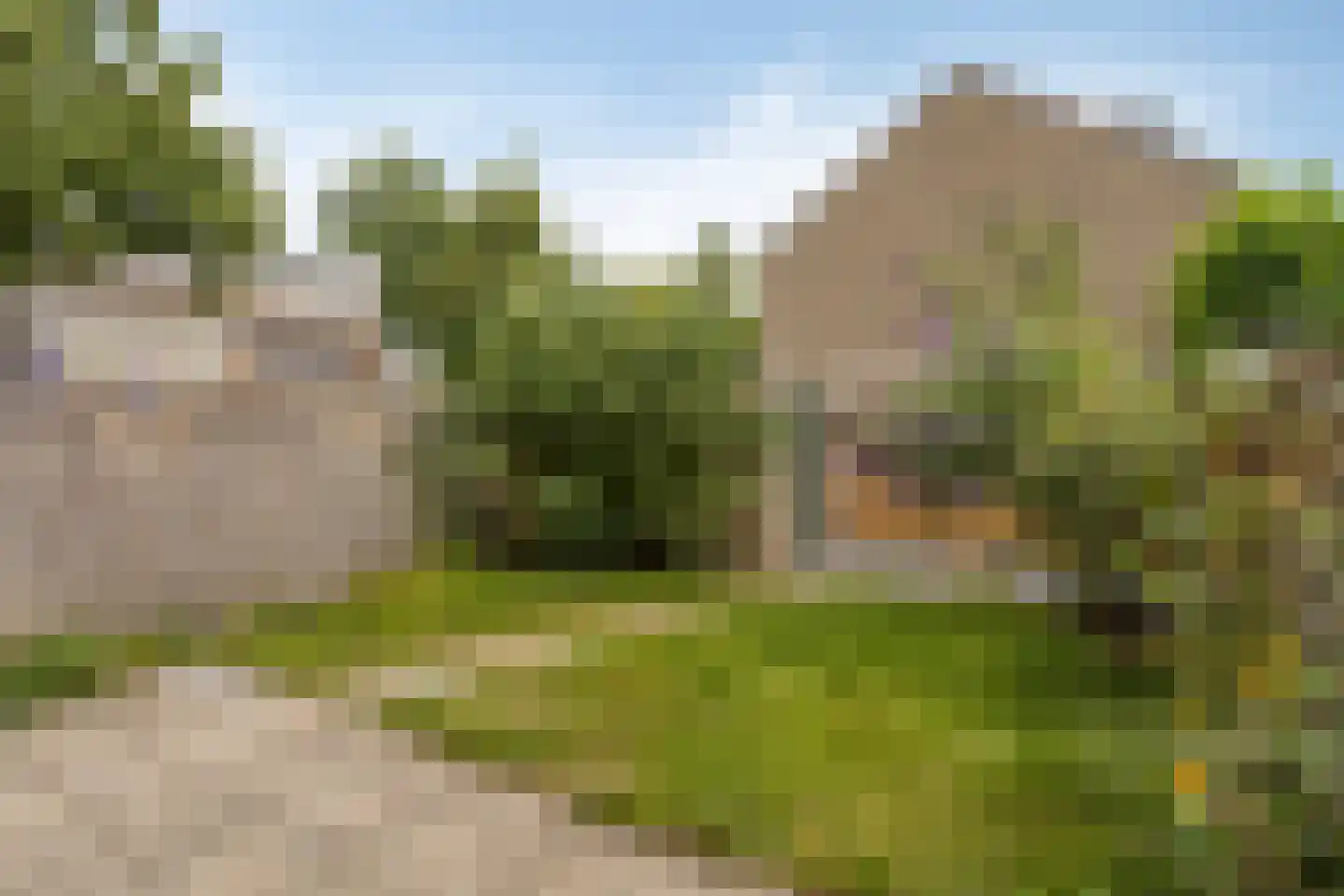Lankforst 3303 Nijmegen thumbnail 32