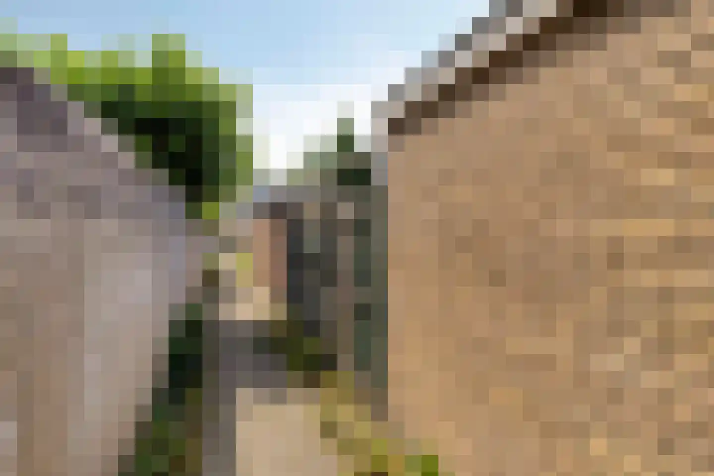 Lankforst 3303 Nijmegen thumbnail 38