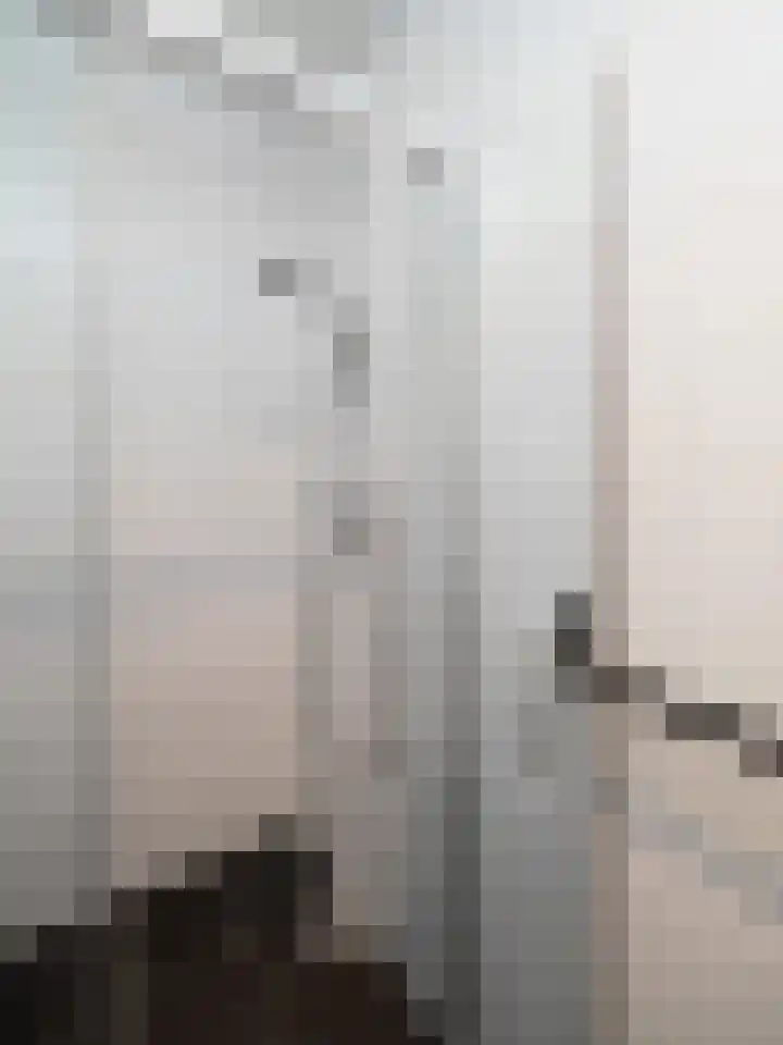 Lankforst 4012 Nijmegen thumbnail 13