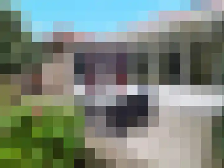 Lankforst 4012 Nijmegen thumbnail 19