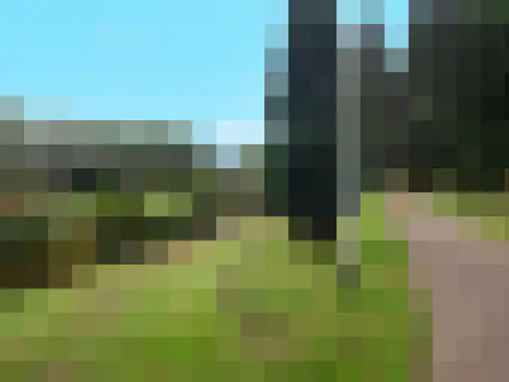 Lankforst 4012 Nijmegen thumbnail 22