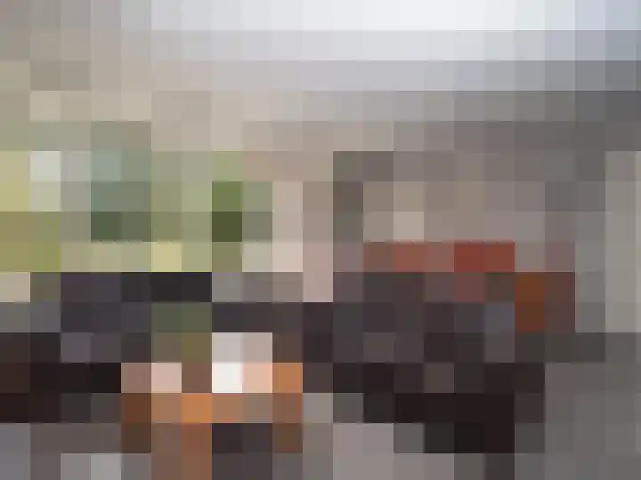 Lankforst 4012 Nijmegen thumbnail 5