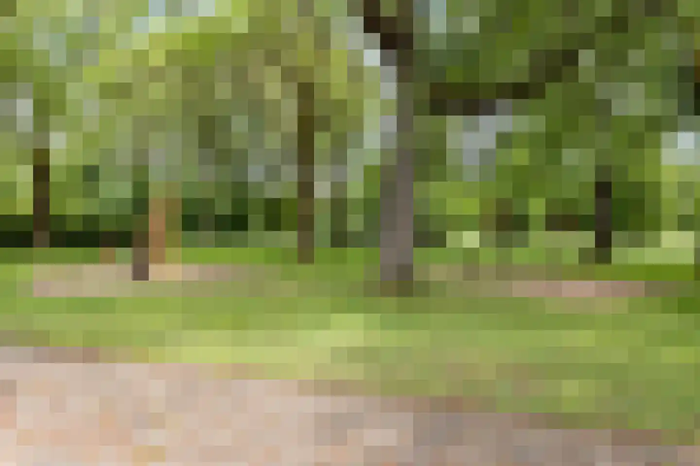 Lankforst 4121 Nijmegen thumbnail 33