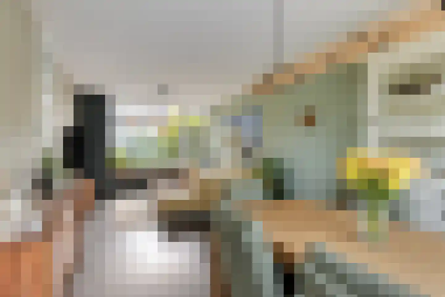 Lankforst 4121 Nijmegen thumbnail 5