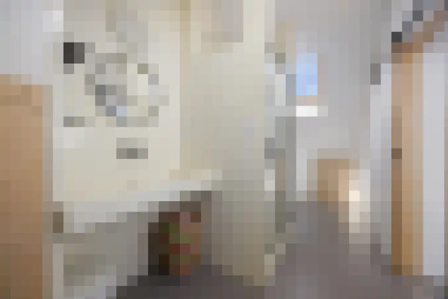 Lankforst 4219 Nijmegen thumbnail 27