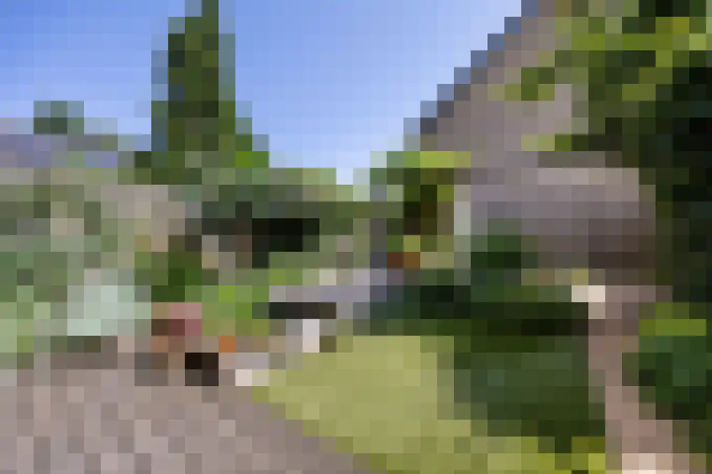 Lankforst 4219 Nijmegen thumbnail 31