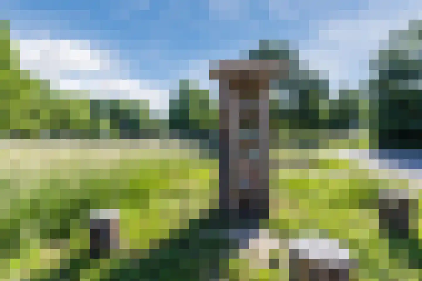 Lankforst 5601 Nijmegen thumbnail 41