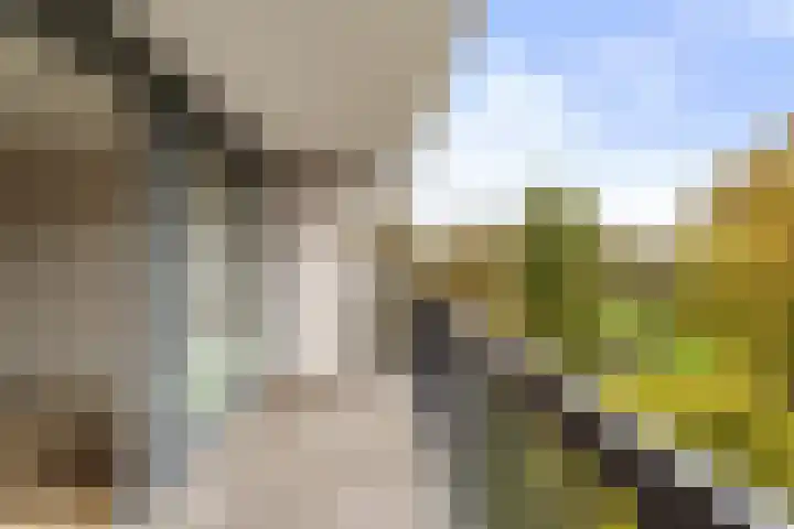 Lankforst 5611 Nijmegen thumbnail 13