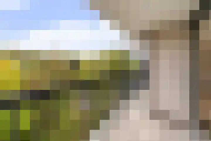 Lankforst 5611 Nijmegen thumbnail 6
