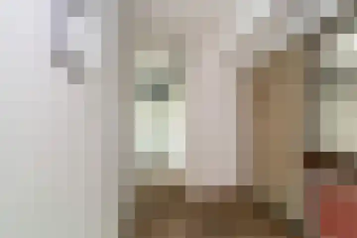 Lankforst 5611 Nijmegen thumbnail 8