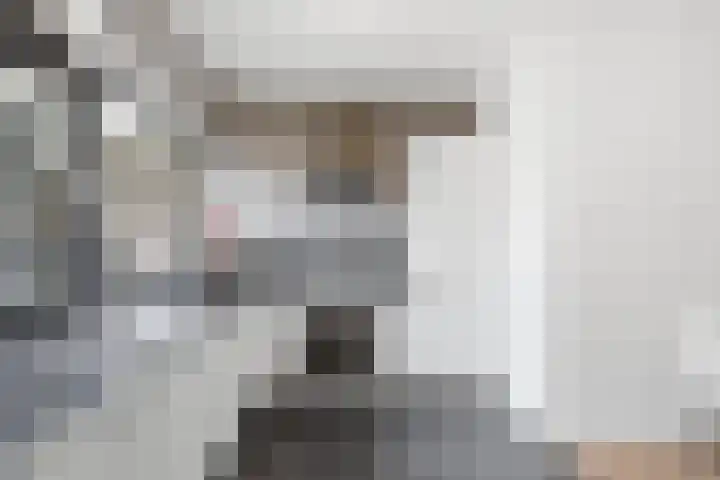 Lankforst 5615 Nijmegen thumbnail 7