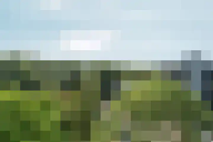 Lankforst 5617 Nijmegen thumbnail 16