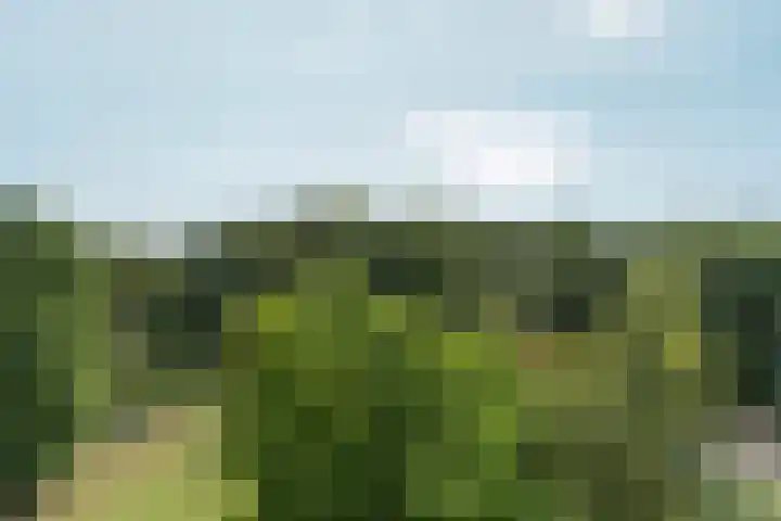 Lankforst 5617 Nijmegen thumbnail 17