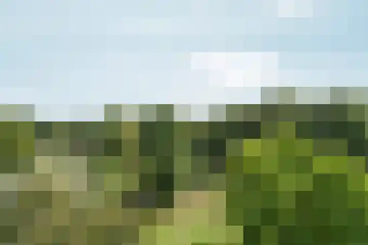 Lankforst 5617 Nijmegen thumbnail 18