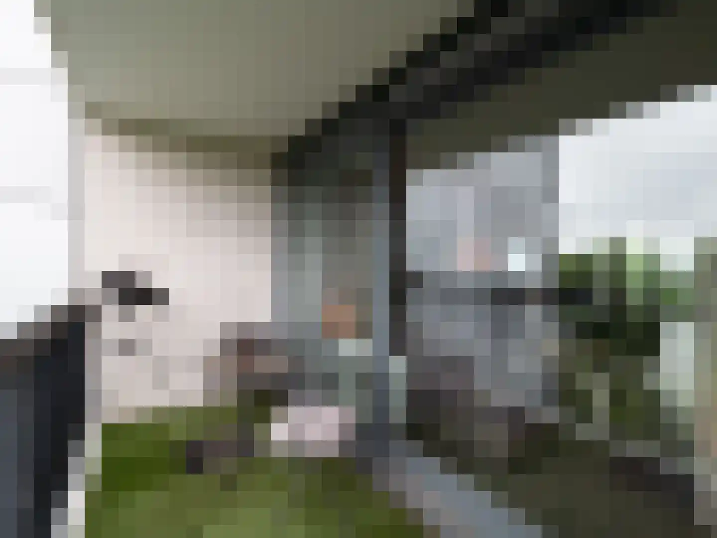 Lankforst 5619 Nijmegen thumbnail 17