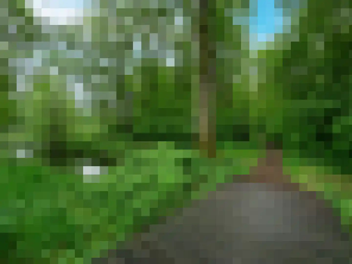 Lankforst 5619 Nijmegen thumbnail 19