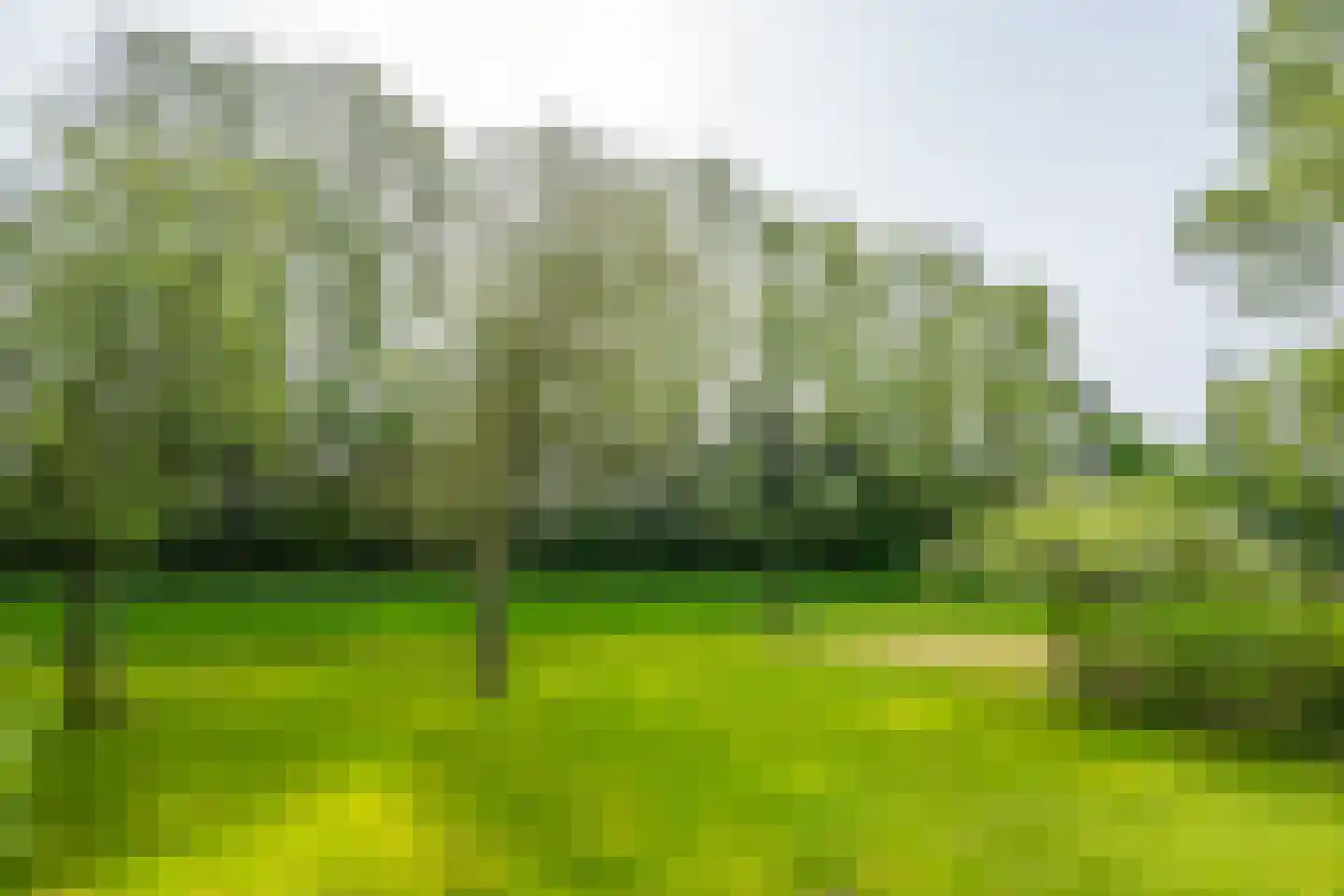 Lankhorsterstraat 17 Hengelo (Gld) thumbnail 26
