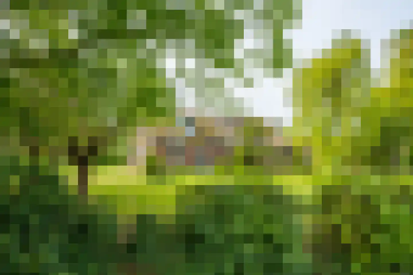 Lankhorsterstraat 17 Hengelo (Gld) thumbnail 4