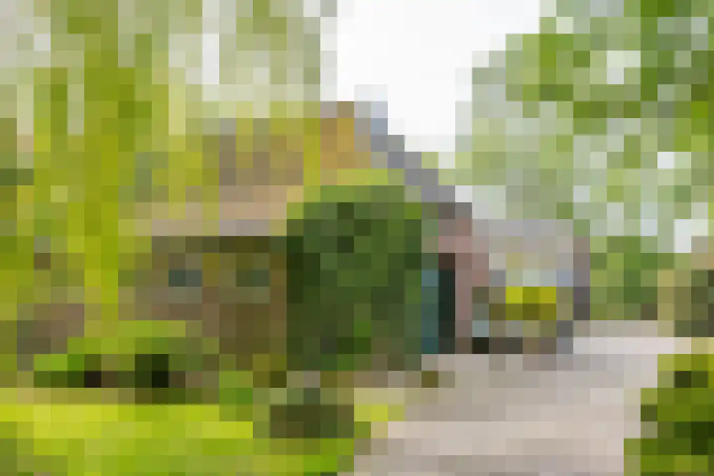 Lankhorsterstraat 17 Hengelo (Gld) thumbnail 8