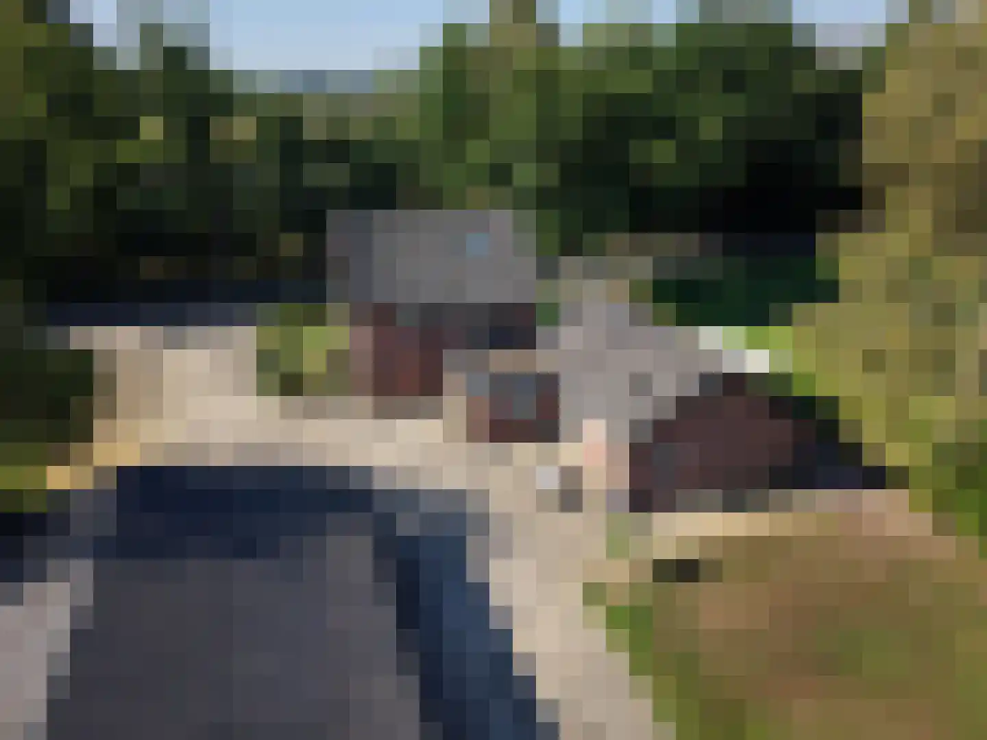 Lankhorsterstraat 20 Hengelo (Gld) thumbnail 5