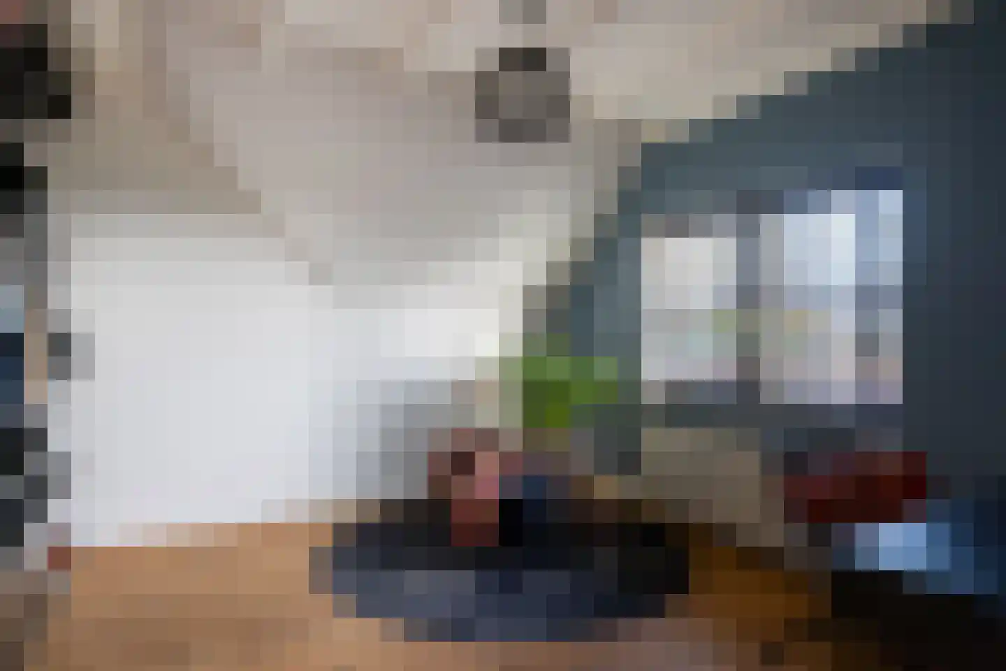 Lankhorsterstraat 3 Wichmond thumbnail 21
