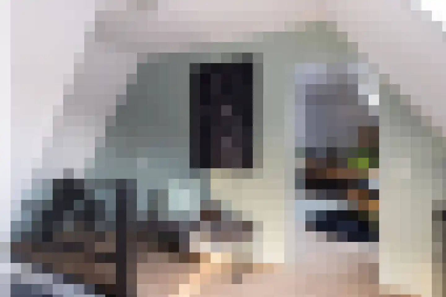 Lankhorsterstraat 3 Wichmond thumbnail 27