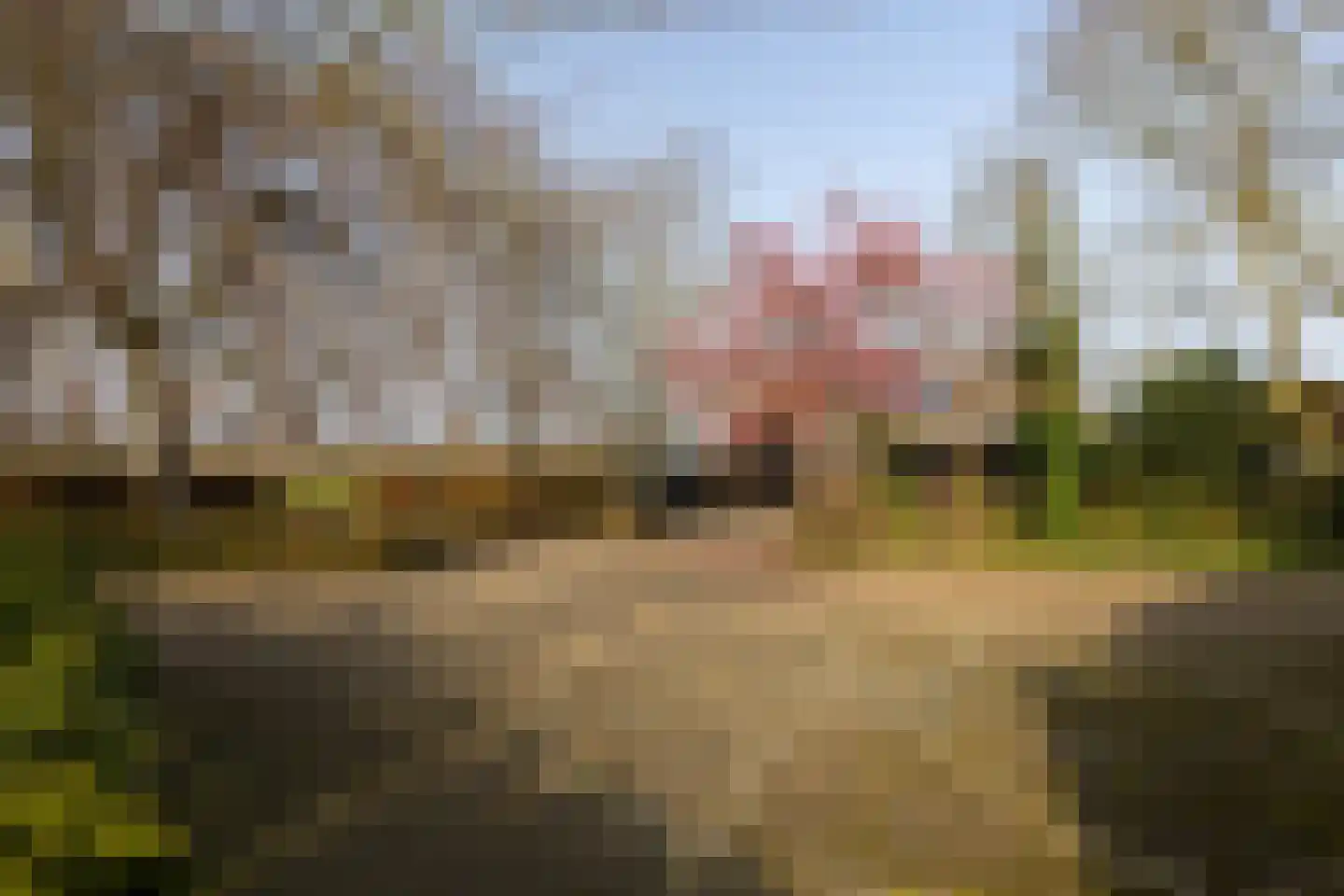 Lankhorsterstraat 3 Wichmond thumbnail 36