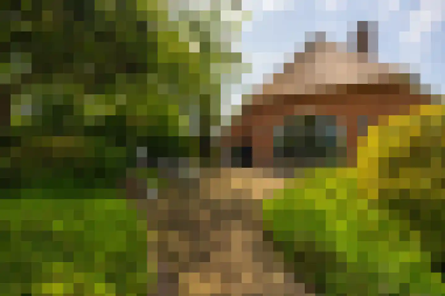 Lankhorsterstraat 3 Wichmond thumbnail 36