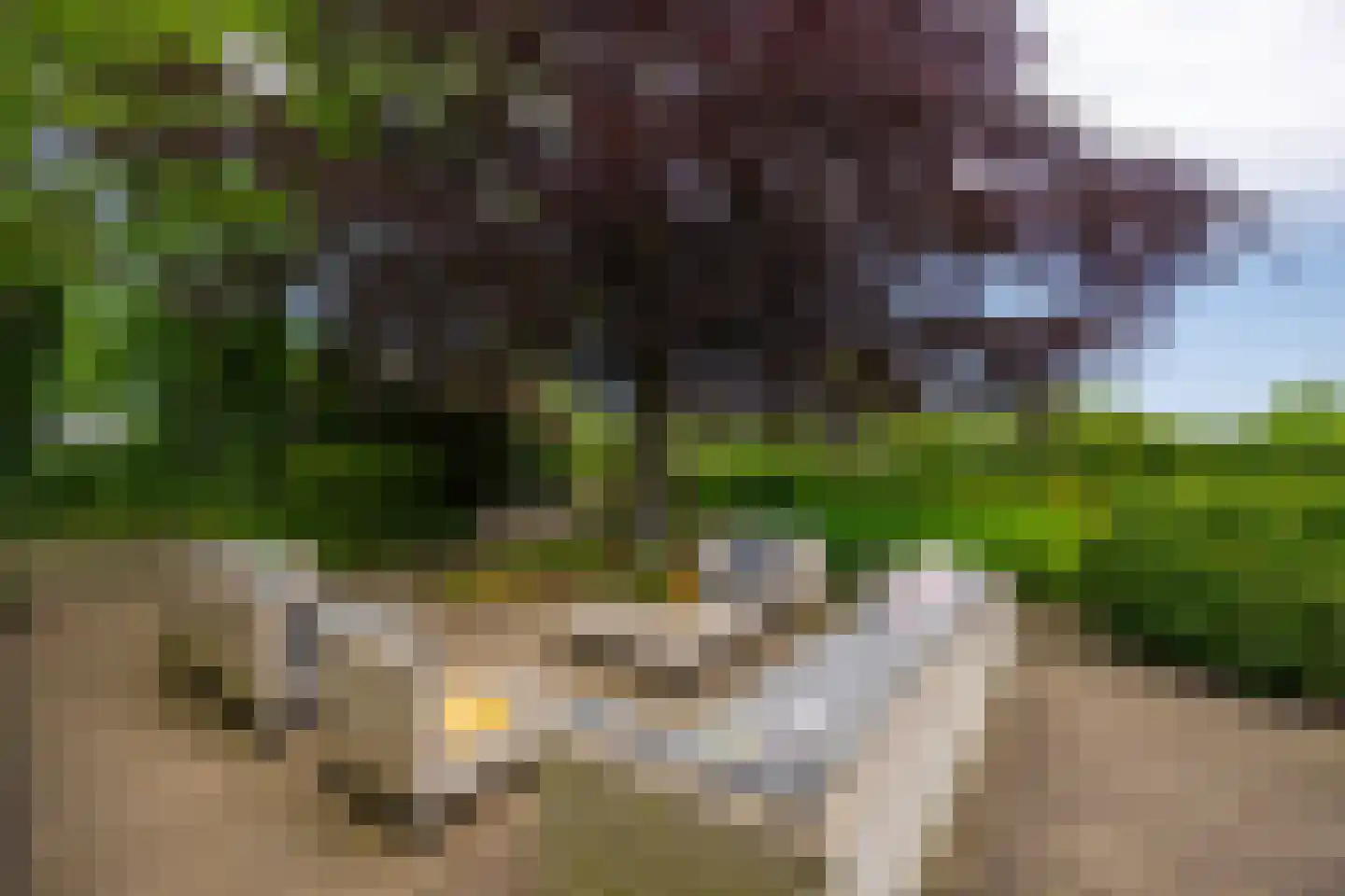Lankhorsterstraat 3 Wichmond thumbnail 40