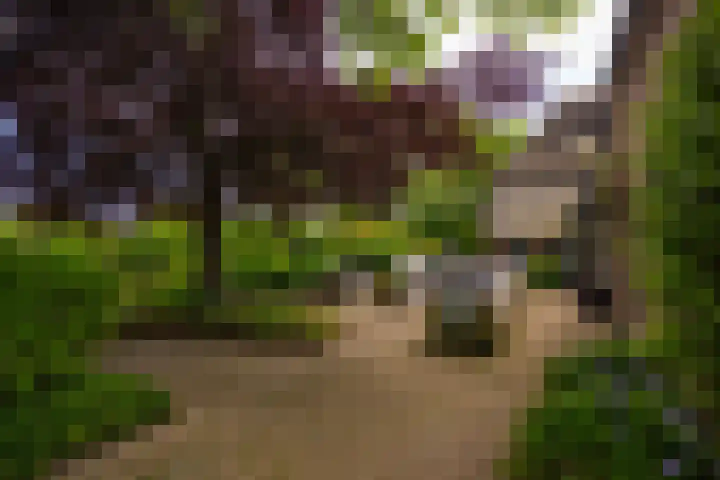 Lankhorsterstraat 3 Wichmond thumbnail 41