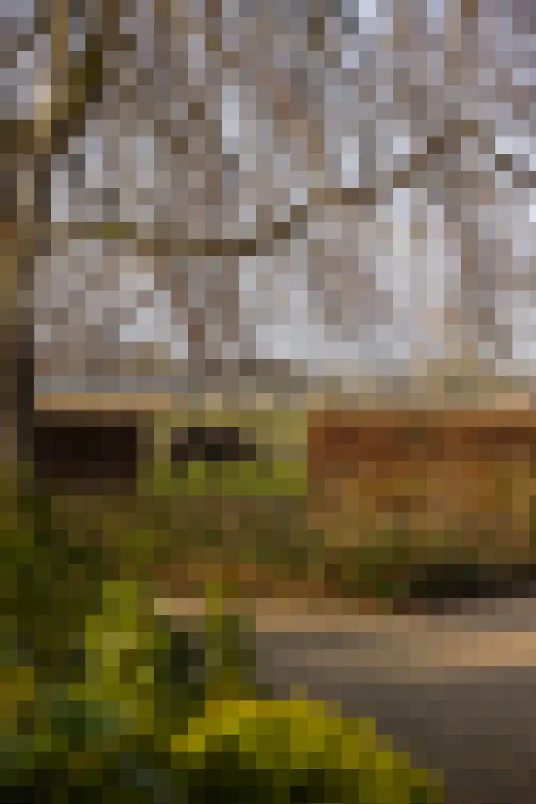 Lankhorsterstraat 3 Wichmond thumbnail 45